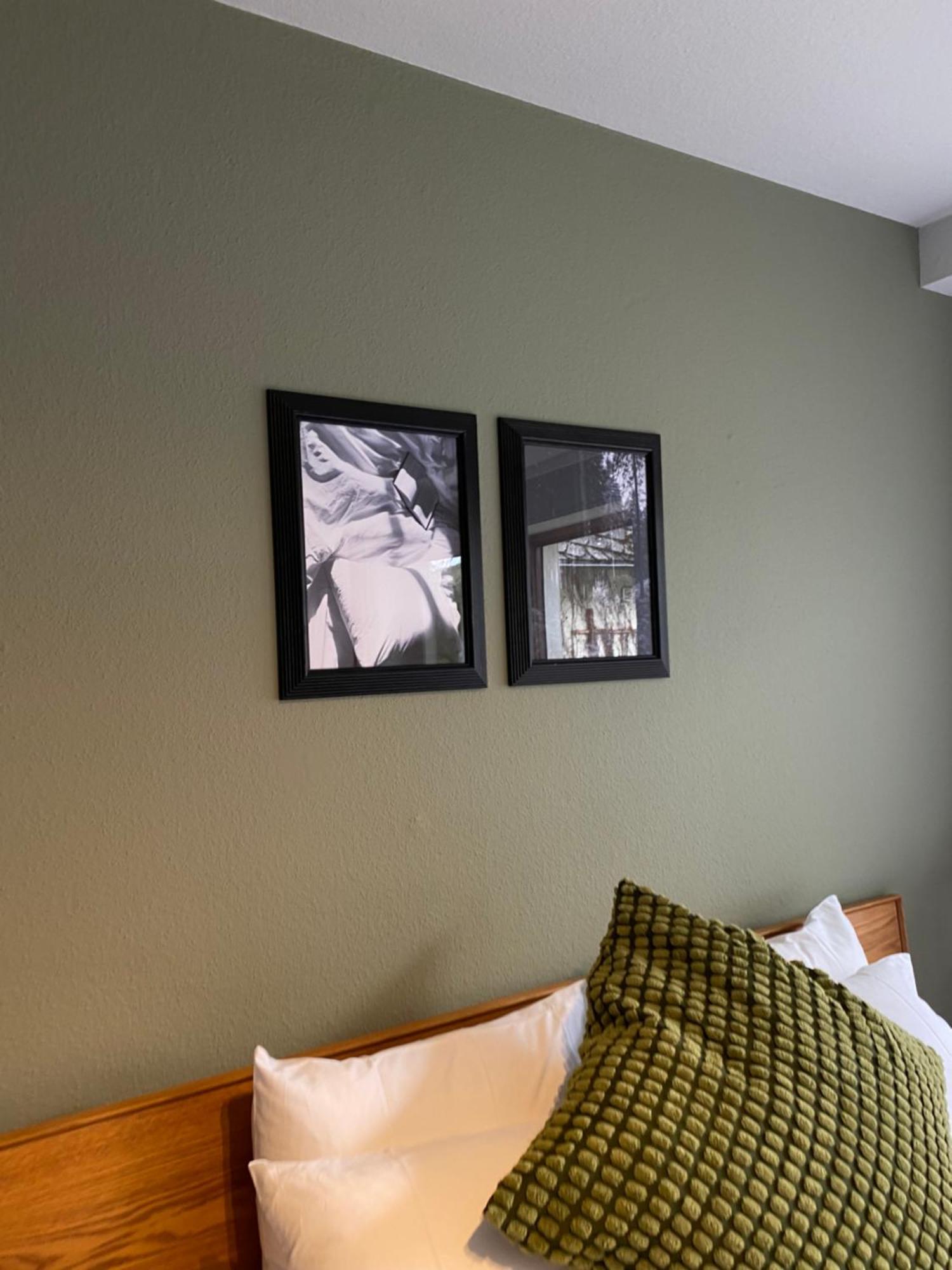 Black Forest Apartments Titisee Titisee-Neustadt Exterior foto