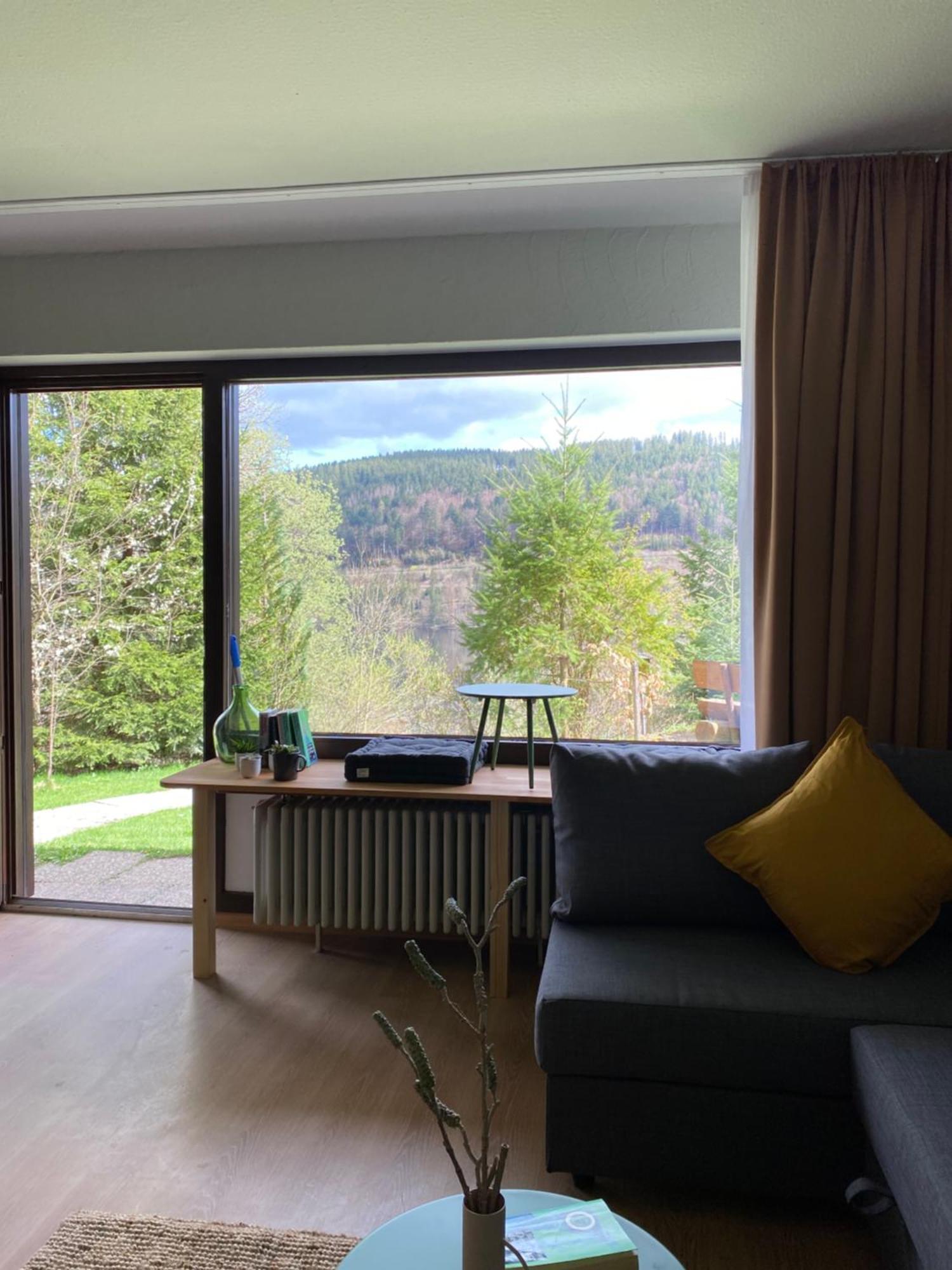 Black Forest Apartments Titisee Titisee-Neustadt Exterior foto