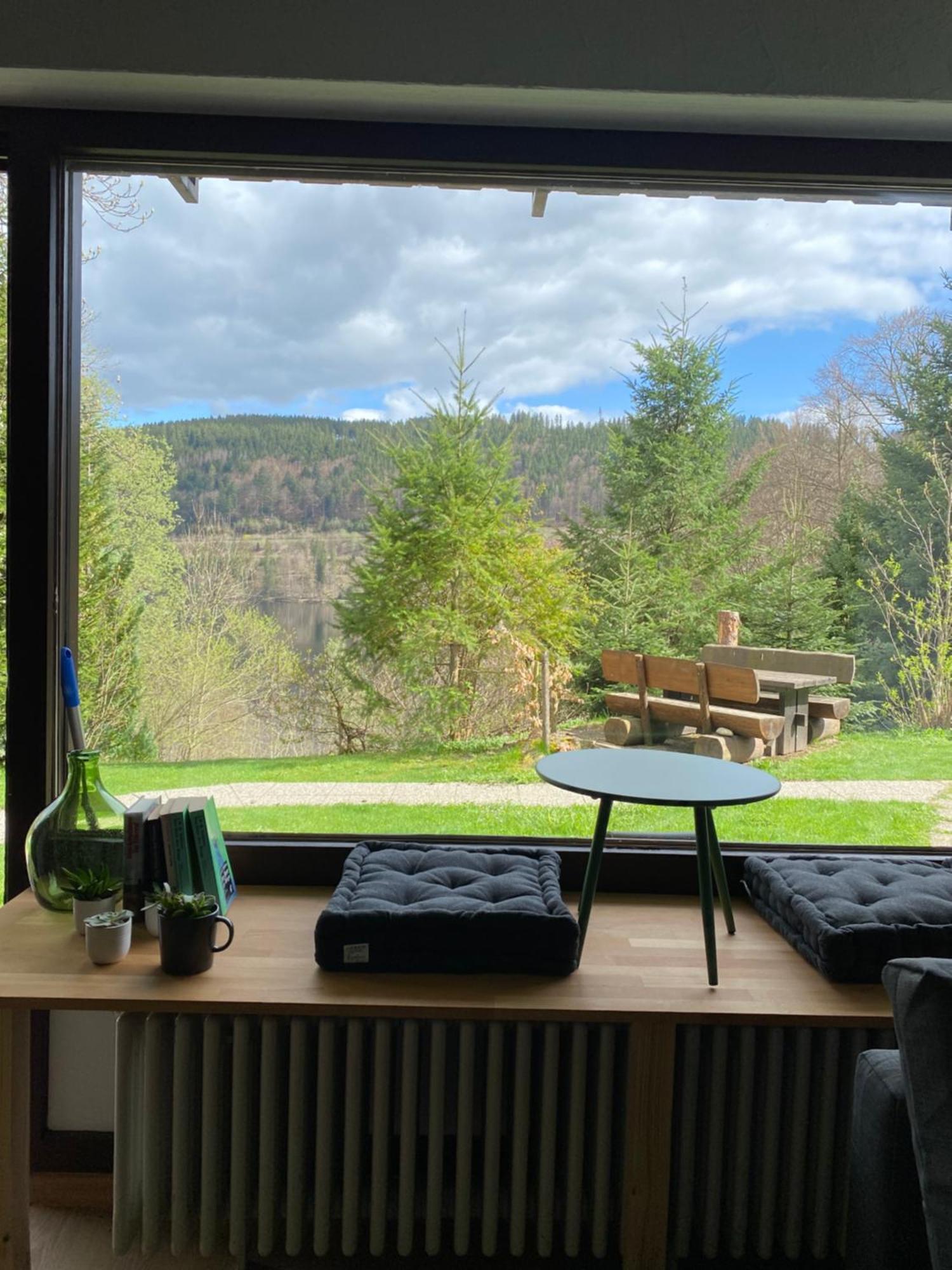 Black Forest Apartments Titisee Titisee-Neustadt Exterior foto