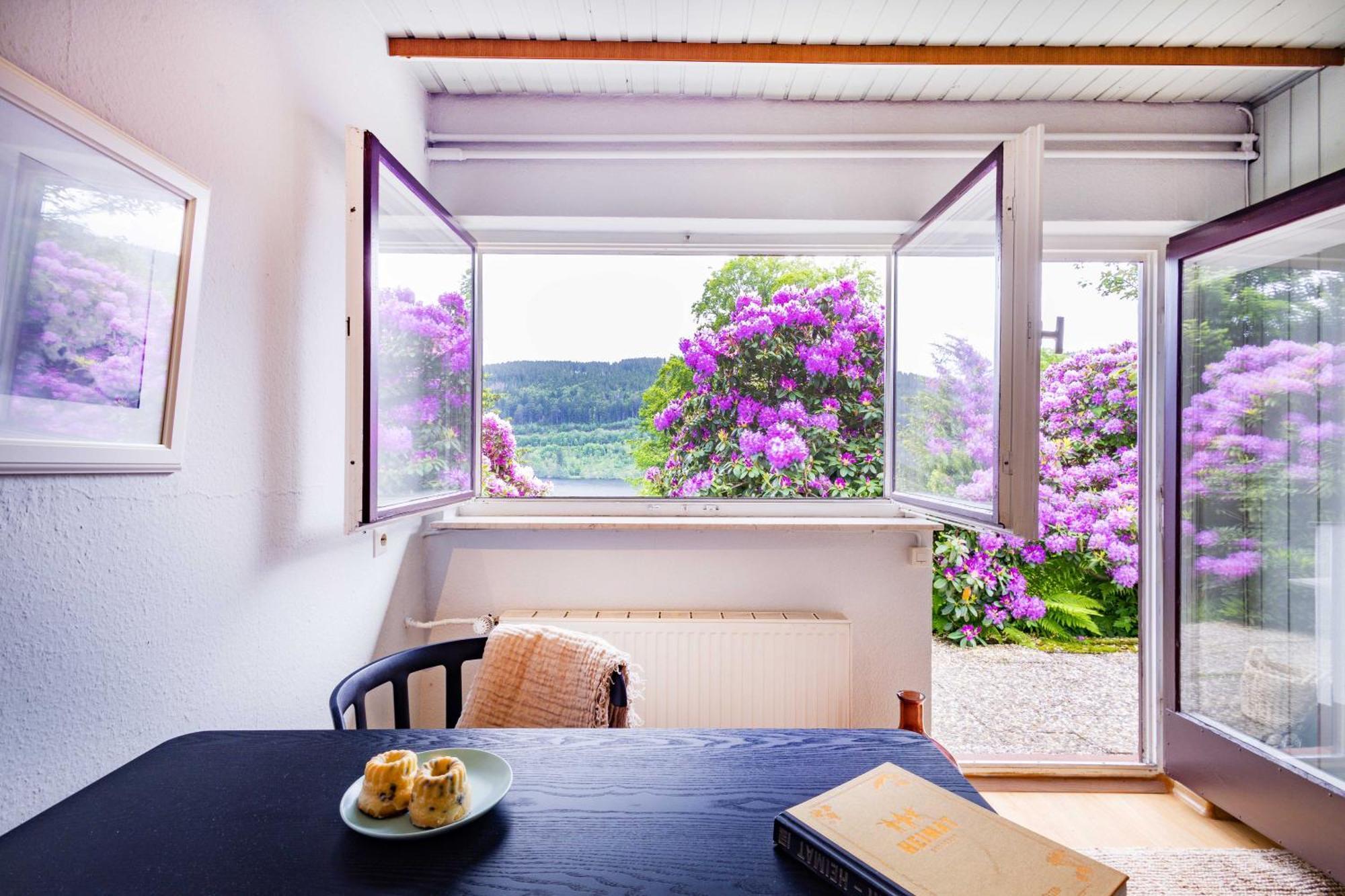 Black Forest Apartments Titisee Titisee-Neustadt Exterior foto